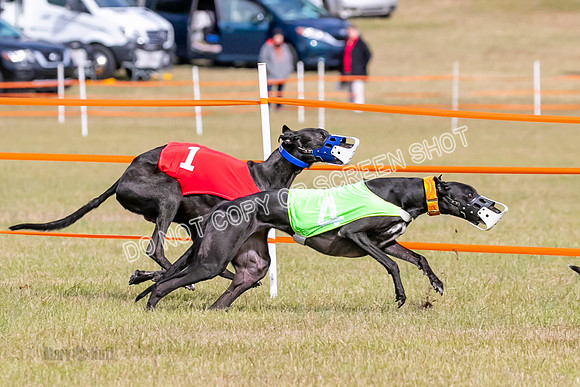 Group B, Prg 2, G, Race 6-7647