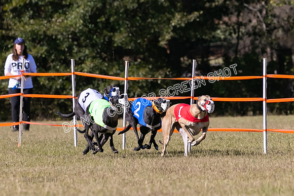 Group B, Prg 3, G, Race 5-8292