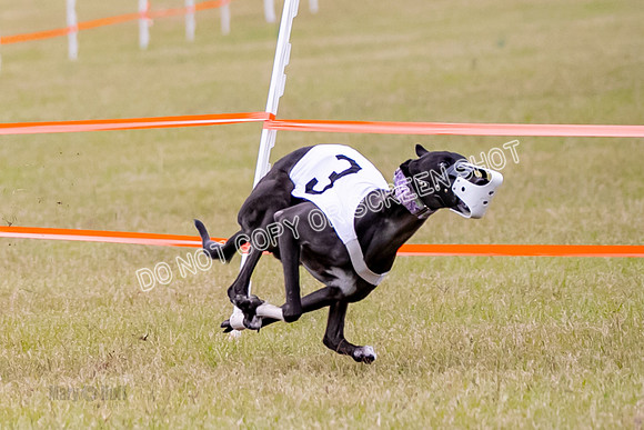 Group B, Prg 1, G, Race 6-2