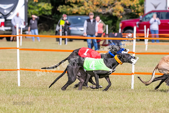 Group B, Prg 2, G, Race 6-7641