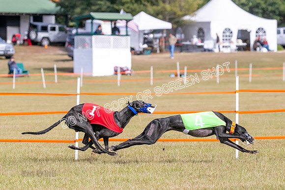 Group B, Prg 2, G, Race 6-7655