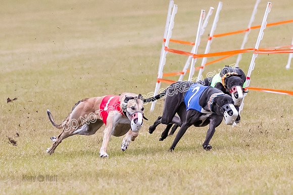 Group B, Prg 1, G, Race 6-7037