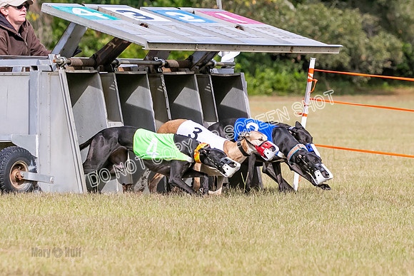 Group B, Prg 2, G, Race 6-7627