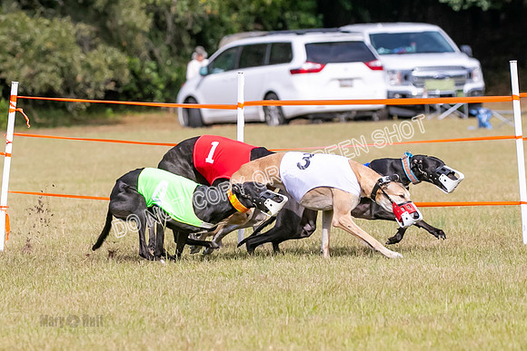 Group B, Prg 2, G, Race 6-7633