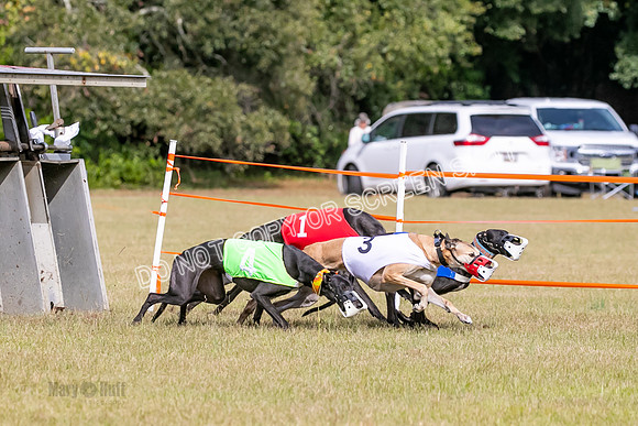 Group B, Prg 2, G, Race 6-7632