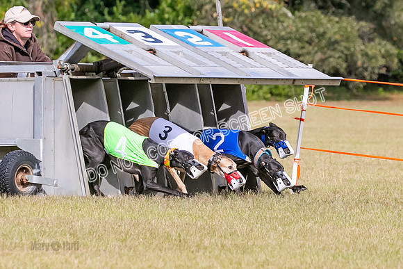 Group B, Prg 2, G, Race 6-7626
