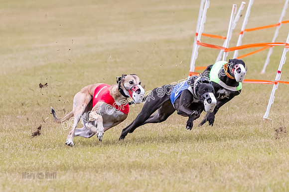 Group B, Prg 1, G, Race 6-7036