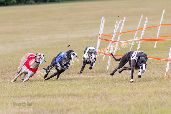 Group B, Prg 1, G, Race 6-7034