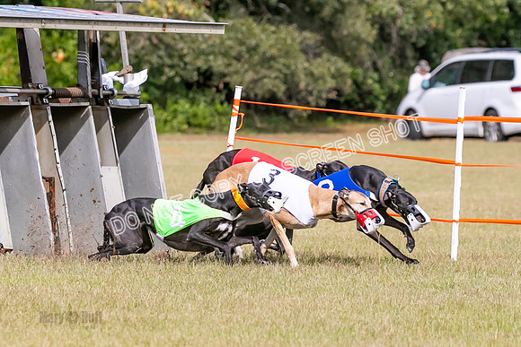 Group B, Prg 2, G, Race 6-7630