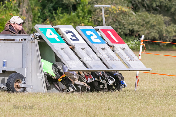 Group B, Prg 2, G, Race 6-7624