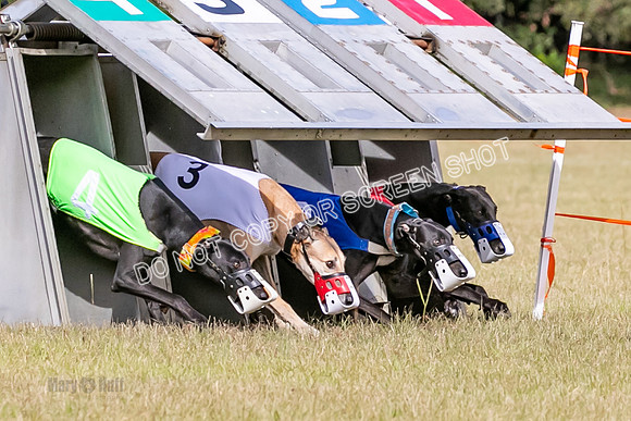 Group B, Prg 2, G, Race 6-7625