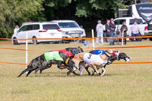 Group B, Prg 2, G, Race 6-7635