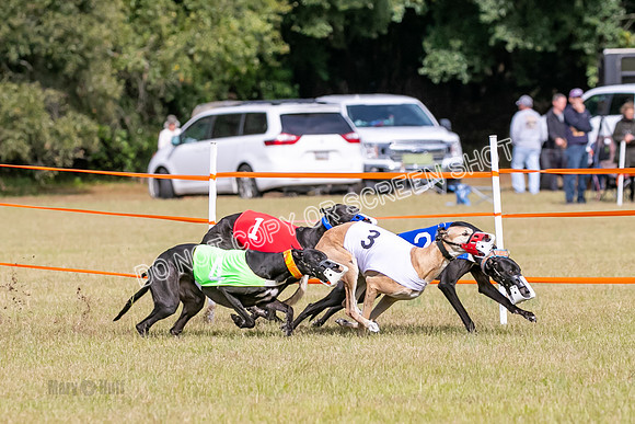 Group B, Prg 2, G, Race 6-7634