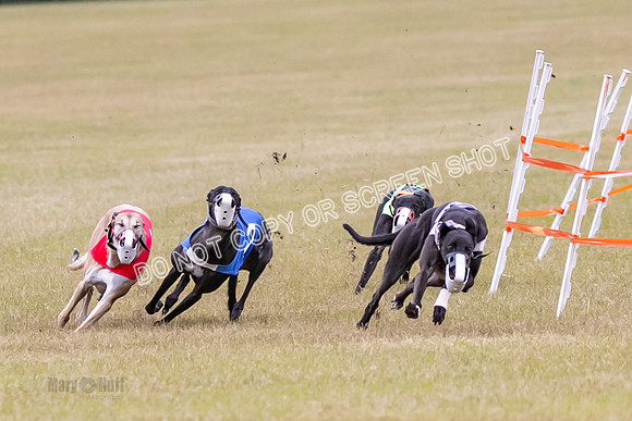 Group B, Prg 1, G, Race 6-7030