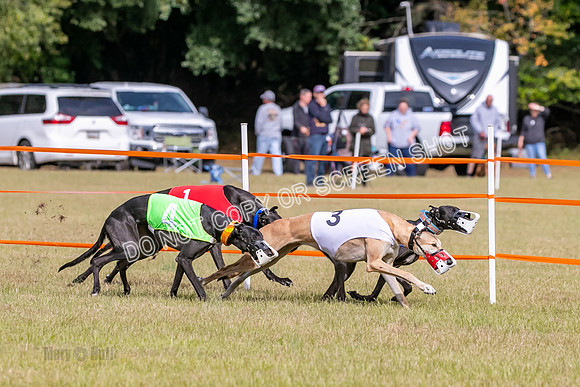 Group B, Prg 2, G, Race 6-7636