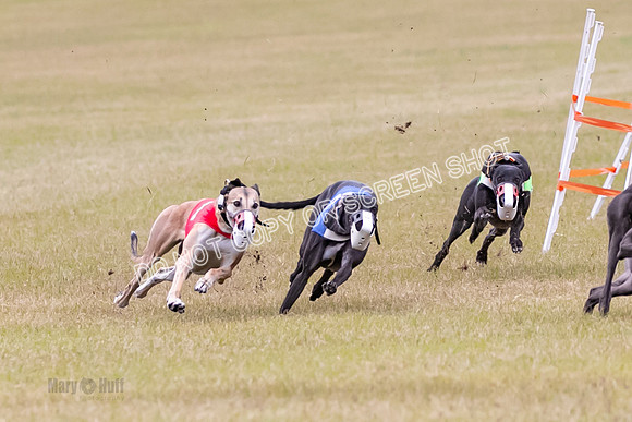 Group B, Prg 1, G, Race 6-7033