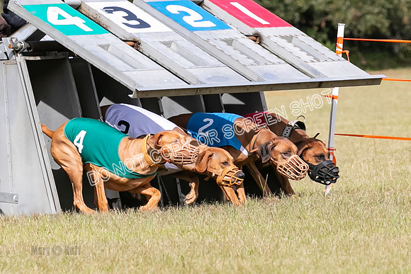 Group B, Prg 2, RR, Race 7-7692