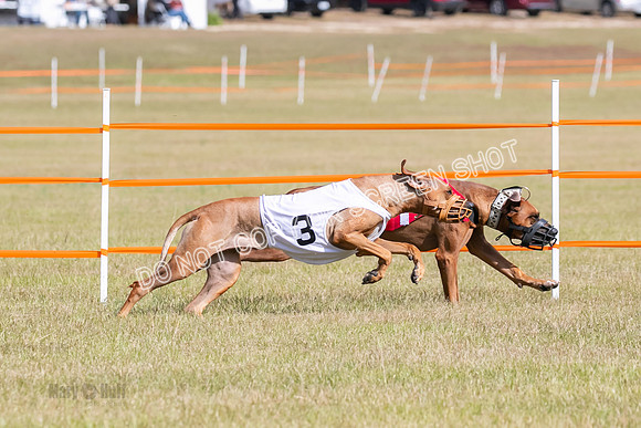 Group B, Prg 2, RR, Race 7-7725