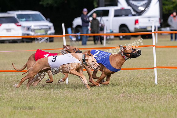 Group B, Prg 2, RR, Race 3-7511