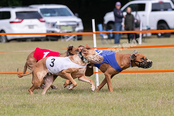 Group B, Prg 2, RR, Race 3-7510