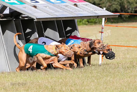Group B, Prg 2, RR, Race 7-7693