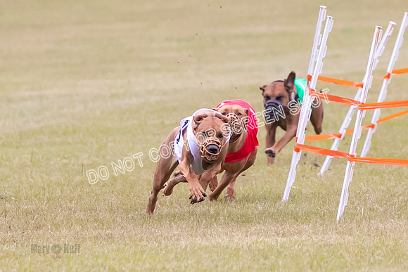 Group B, Prg 1, RR, Race 7-7067