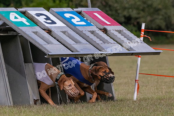 Group B, Prg 2, RR, Race 3-7499