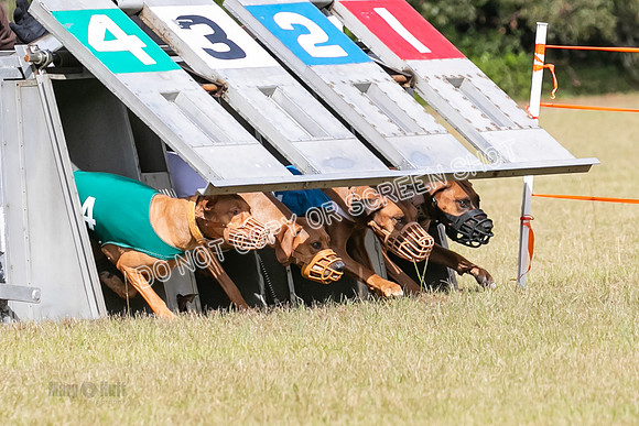Group B, Prg 2, RR, Race 7-7691