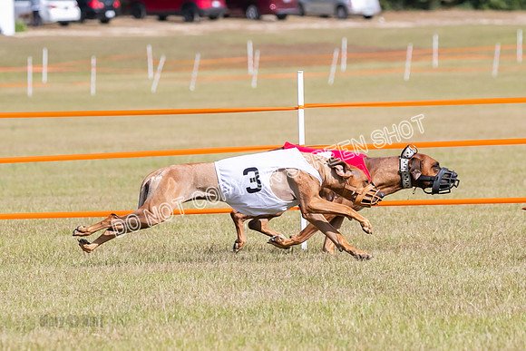 Group B, Prg 2, RR, Race 7-7726
