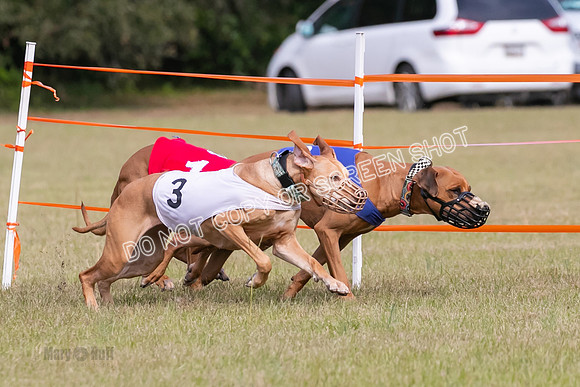 Group B, Prg 2, RR, Race 3-7507