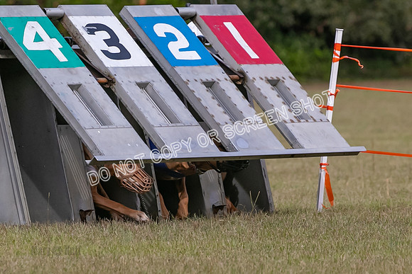 Group B, Prg 2, RR, Race 3-7498