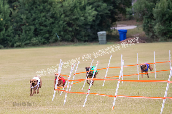 Group B, Prg 1, RR, Race 7-7060