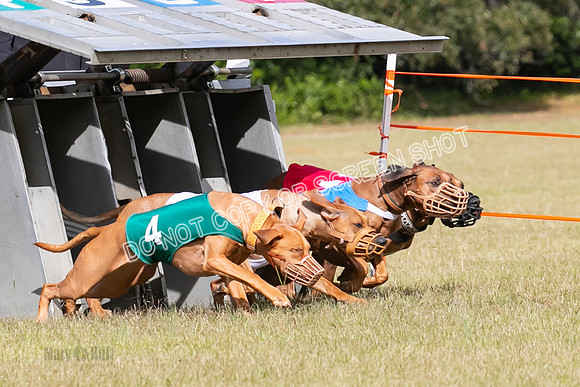 Group B, Prg 2, RR, Race 7-7694