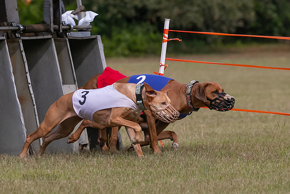 Group B, Prg 2, RR, Race 3-7503