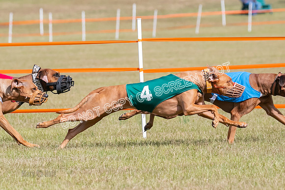 Group B, Prg 2, RR, Race 7-7722