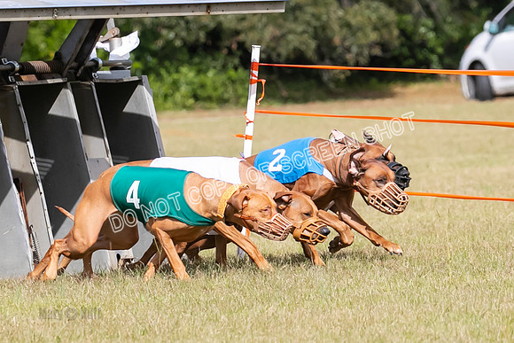 Group B, Prg 2, RR, Race 7-7695