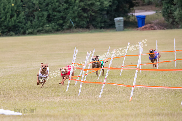 Group B, Prg 1, RR, Race 7-7061