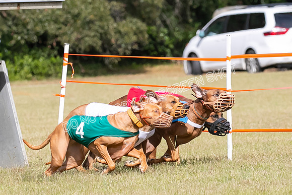 Group B, Prg 2, RR, Race 7-7697