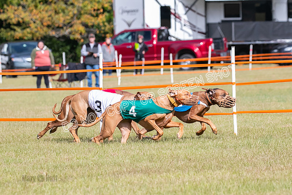 Group B, Prg 2, RR, Race 7-7708