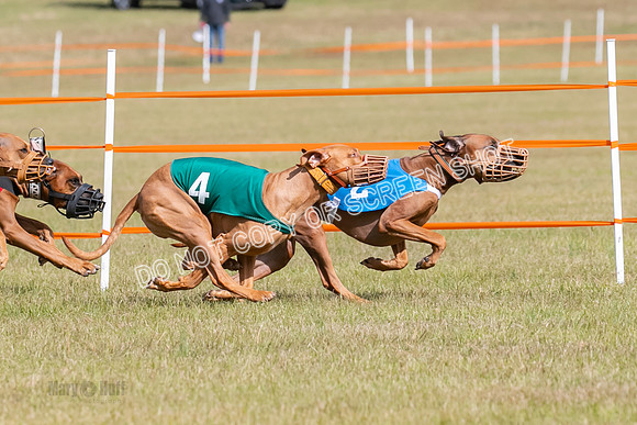 Group B, Prg 2, RR, Race 7-7720