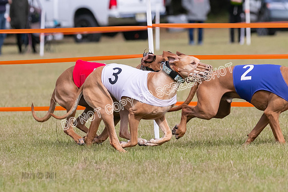 Group B, Prg 2, RR, Race 3-7514