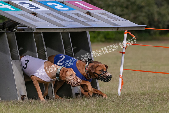Group B, Prg 2, RR, Race 3-7500