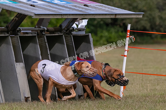Group B, Prg 2, RR, Race 3-7501