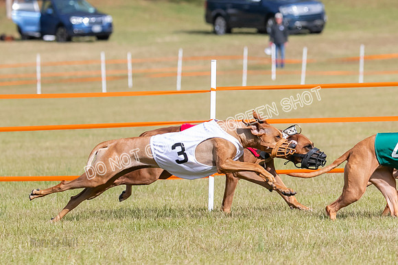 Group B, Prg 2, RR, Race 7-7721