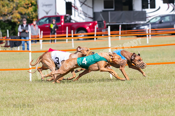 Group B, Prg 2, RR, Race 7-7709