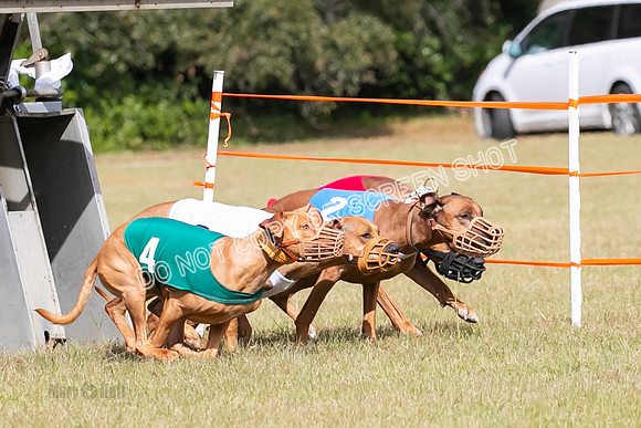 Group B, Prg 2, RR, Race 7-7696