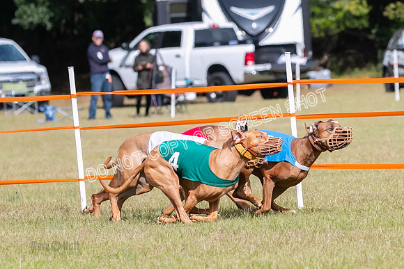 Group B, Prg 2, RR, Race 7-7704