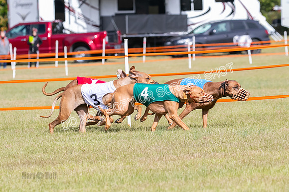 Group B, Prg 2, RR, Race 7-7710