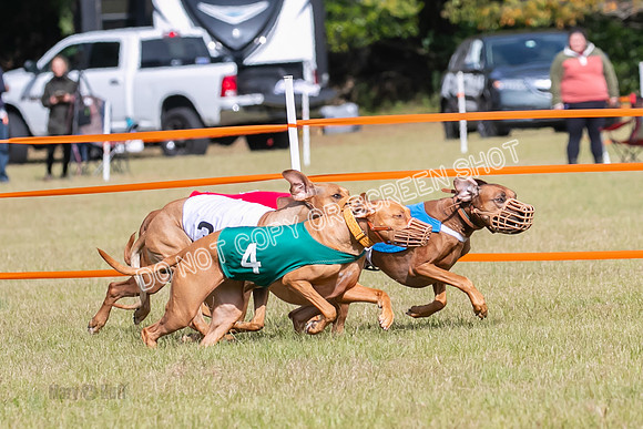 Group B, Prg 2, RR, Race 7-7705