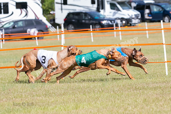 Group B, Prg 2, RR, Race 7-7713